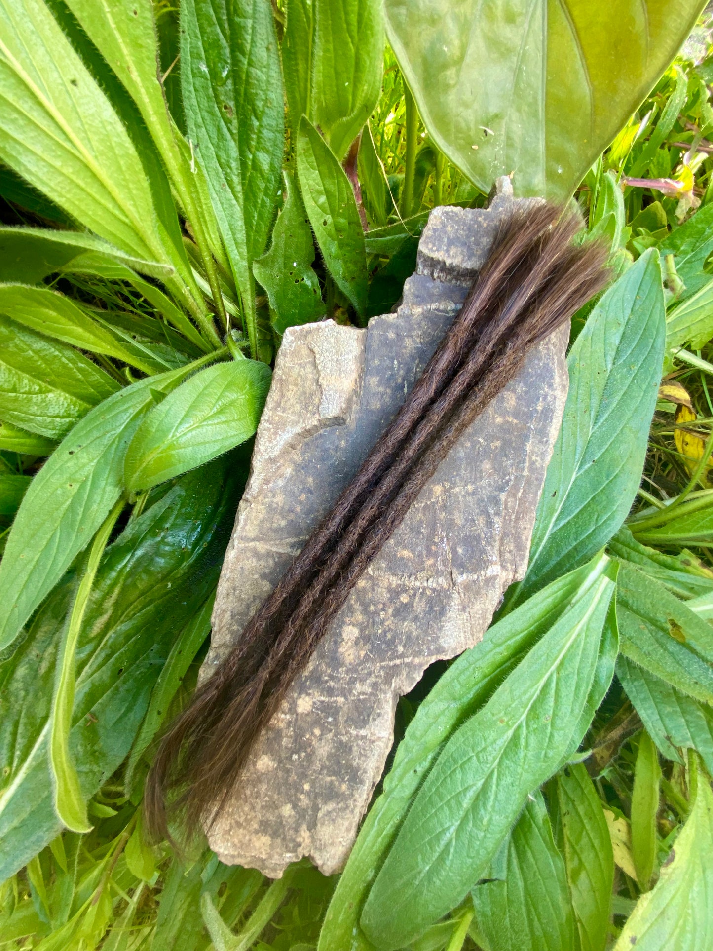 10 European Human Hair Dreadlocks in Medium Brown #5C