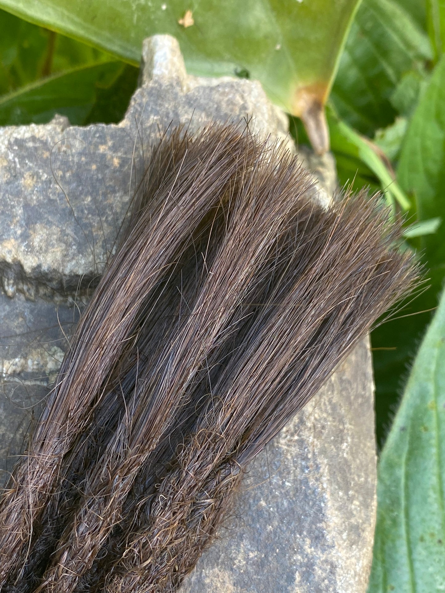 10 European Human Hair Dreadlocks in Medium Brown #5C