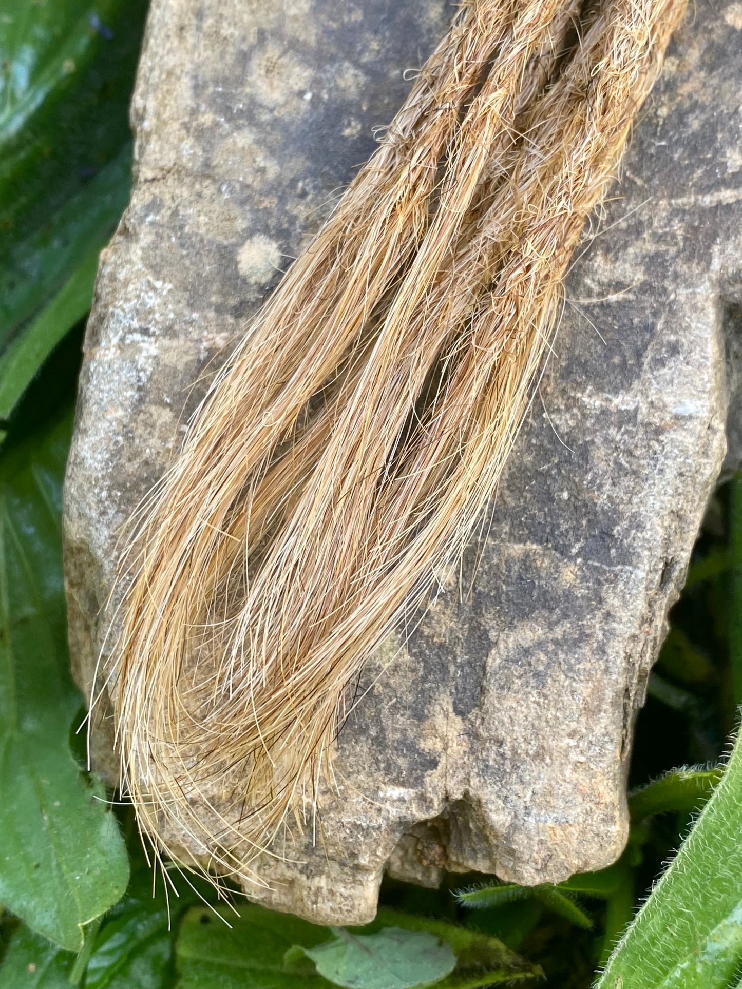 10 dreadlocks en cheveux humains européens, blond moyen #8E