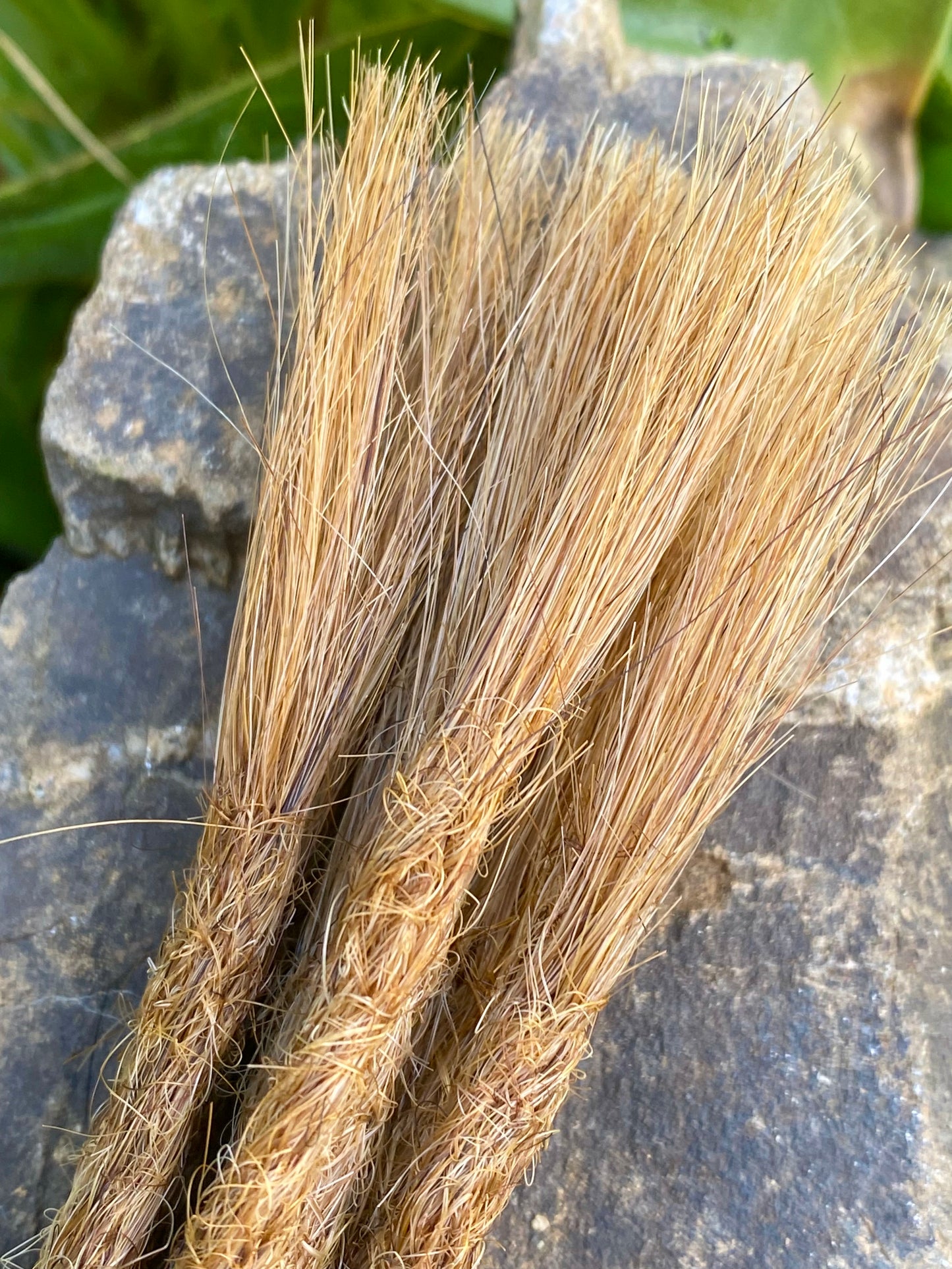 10 dreadlocks en cheveux humains européens, blond moyen #8E
