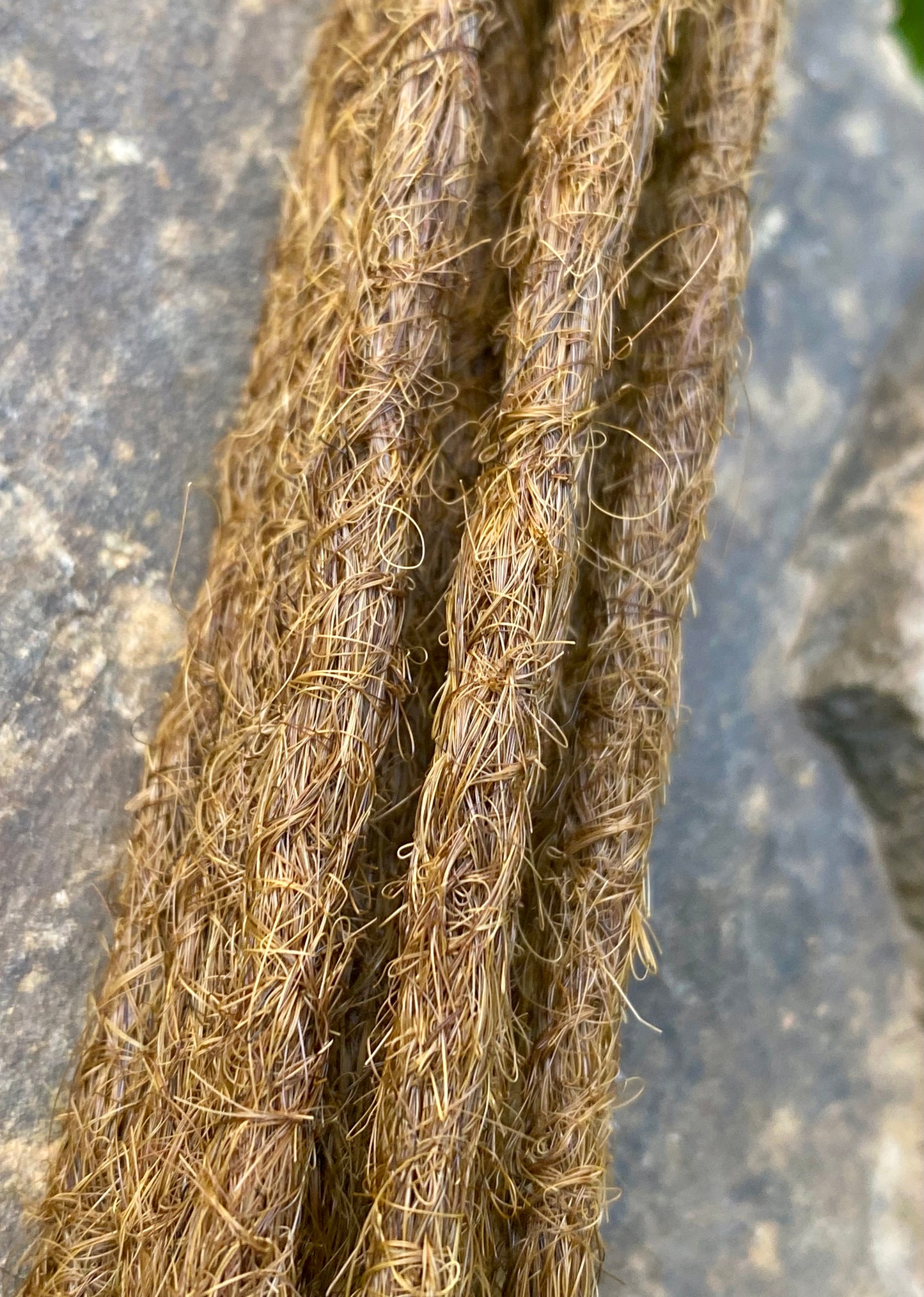 10 European Human Hair Dreadlocks in Chestnut Brown #6D