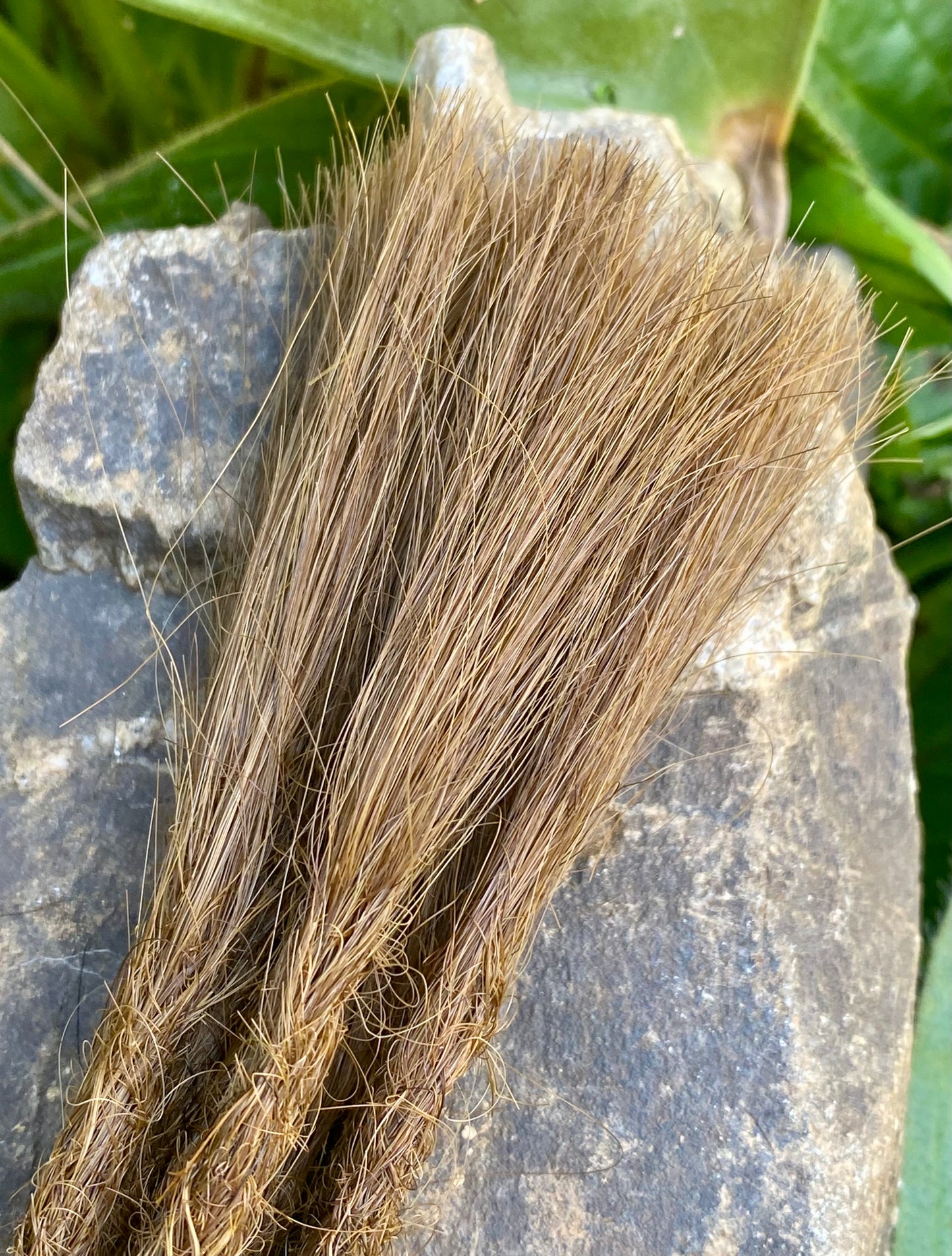 10 European Human Hair Dreadlocks in Chestnut Brown #6D