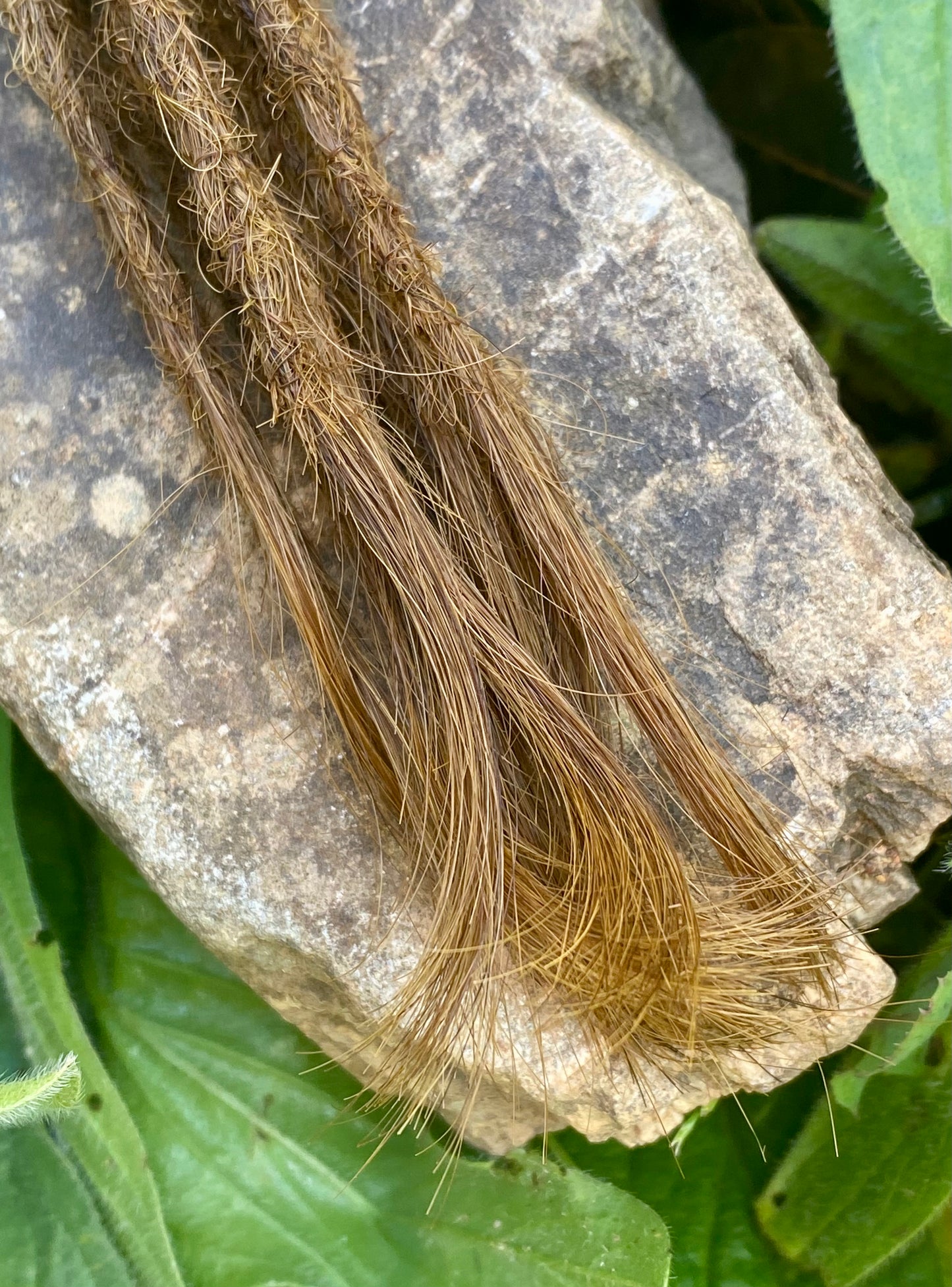 10 European Human Hair Dreadlocks in Chestnut Brown #6D