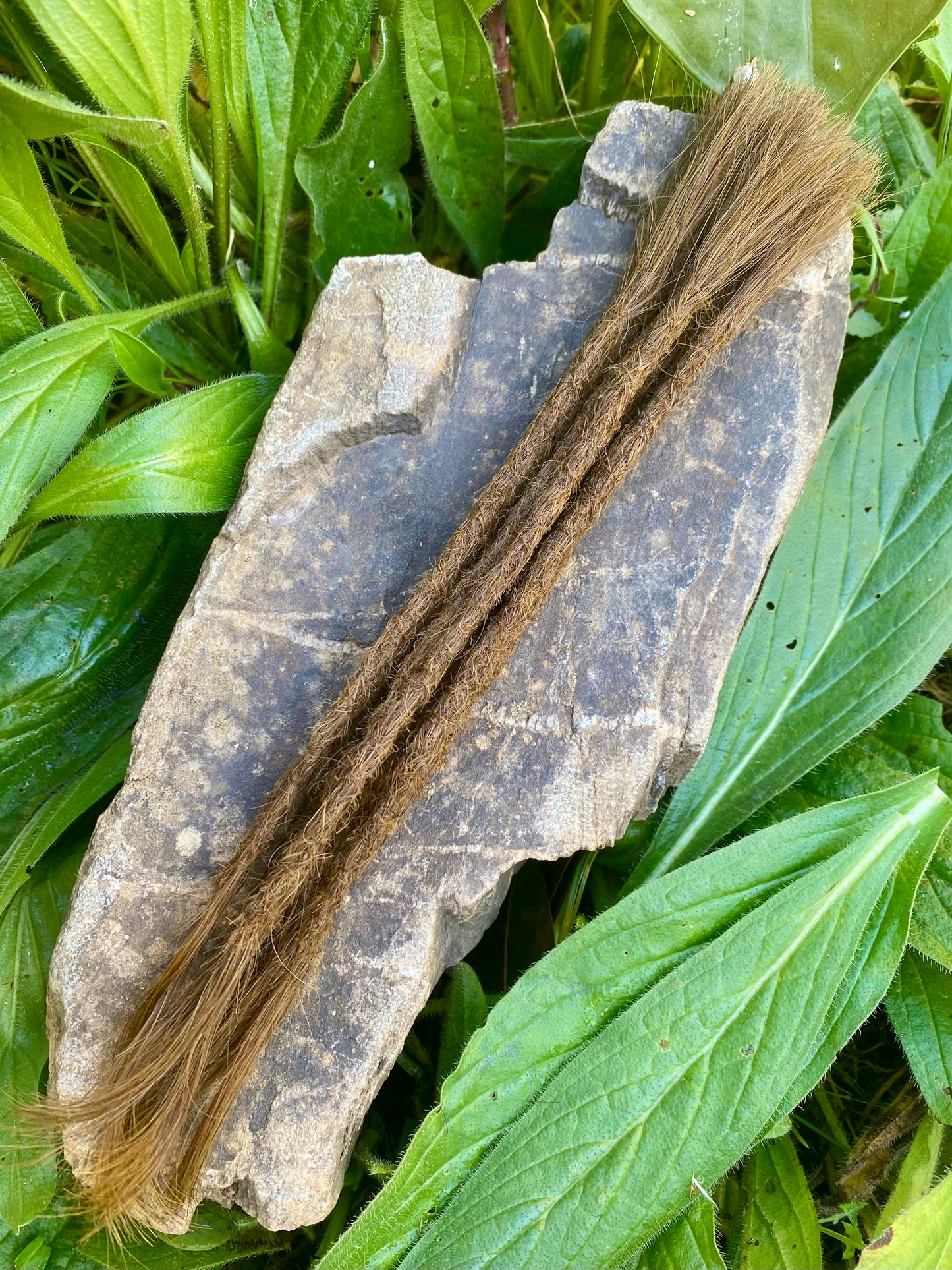 10 European Human Hair Dreadlocks in Chestnut Brown #6D