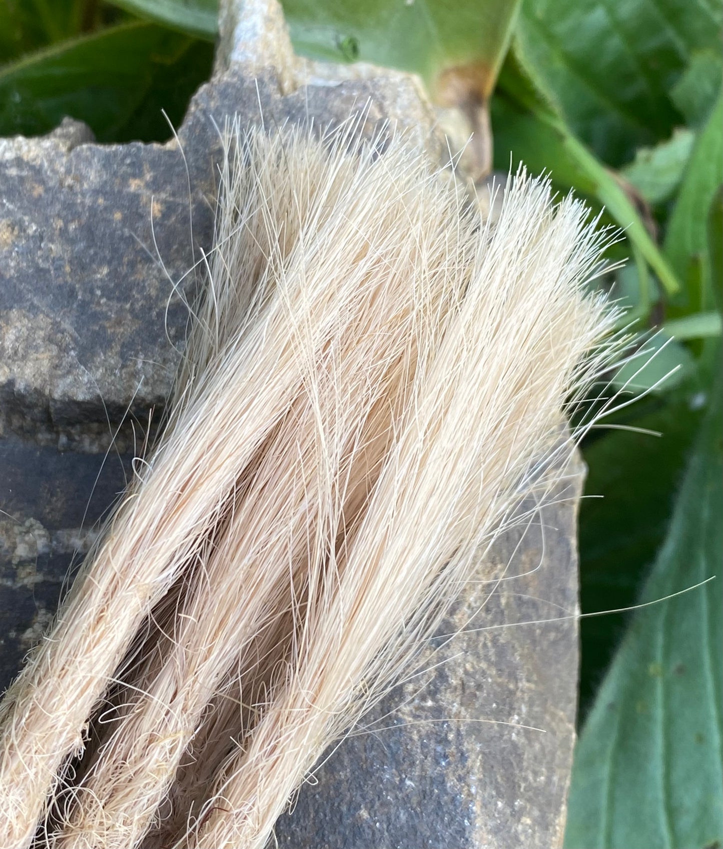 10 dreadlocks en cheveux humains européens – Blond naturel #9A