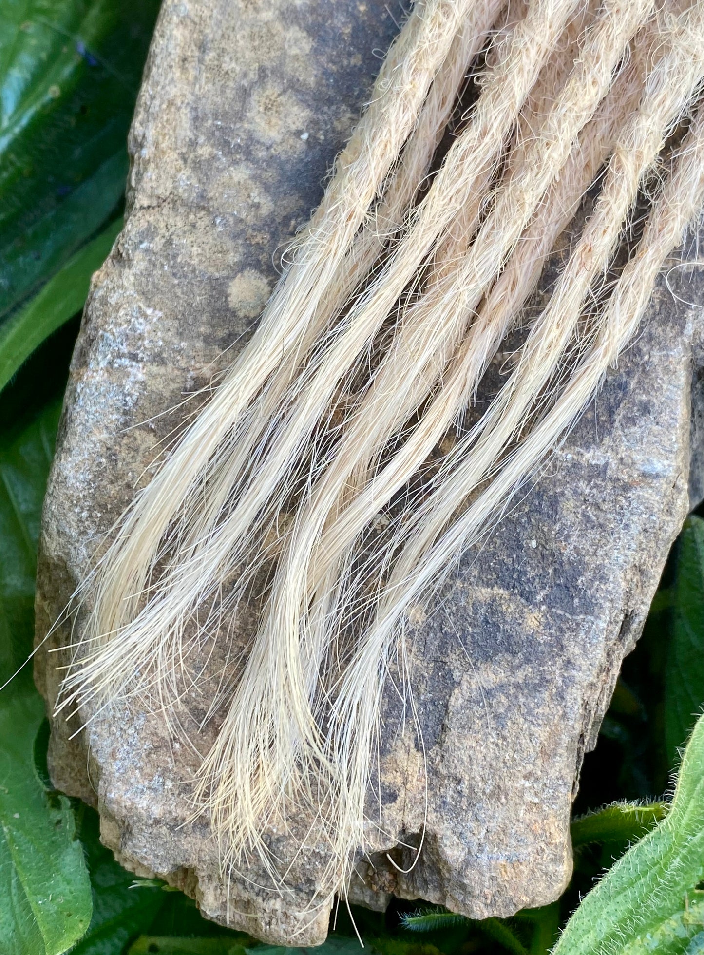 10 dreadlocks en cheveux humains européens – Blond clair #10D