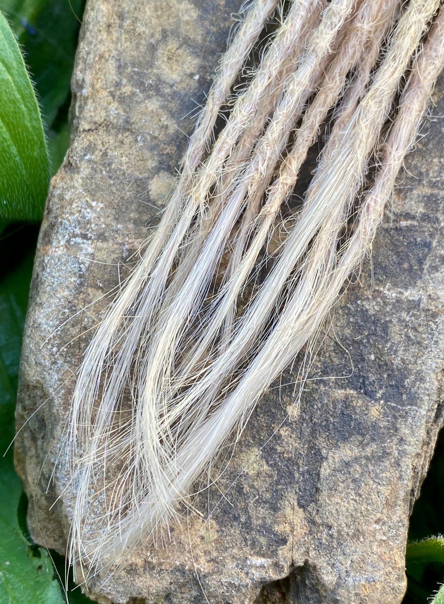 10 European Human Hair Dreadlocks in Platinum Blonde #10E