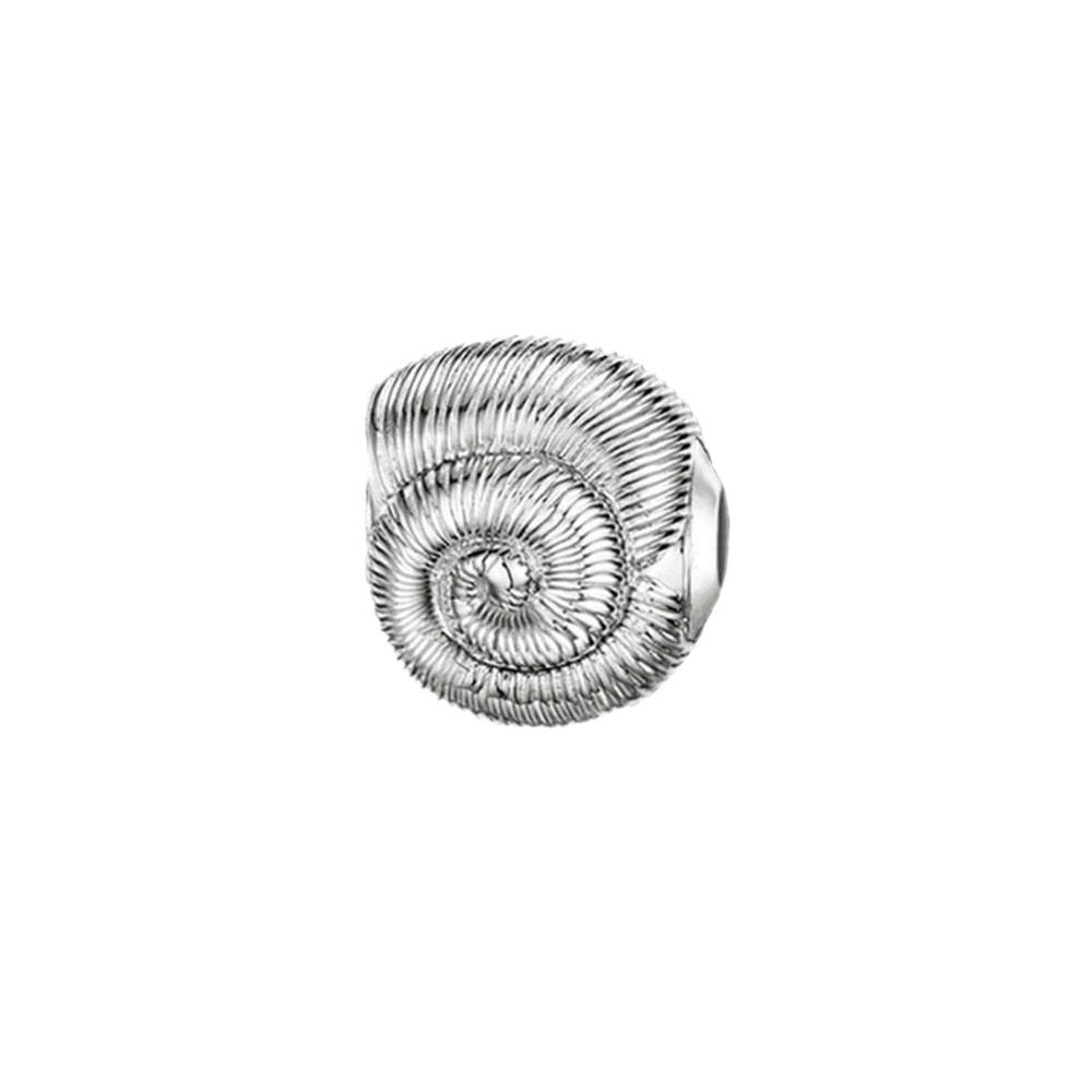 Seashell Bead