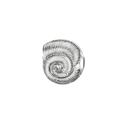 Seashell Bead
