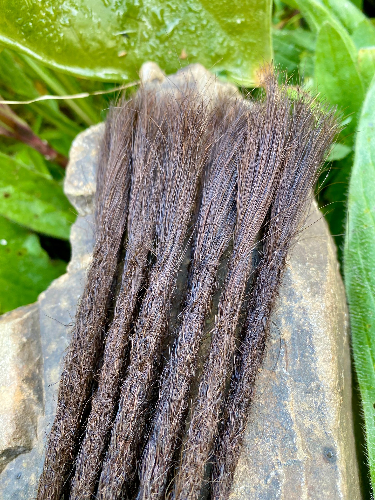 10 European Human Hair Dreadlocks in Dark Brown