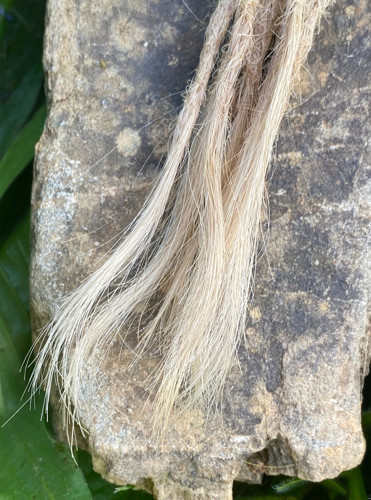 10 European Human Hair Dreadlocks in Natural Blonde