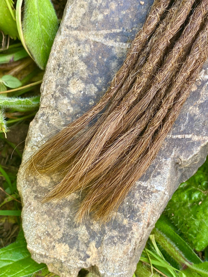 10 European Human Hair Dreadlocks in Dark Blond Golden Brown #6.37