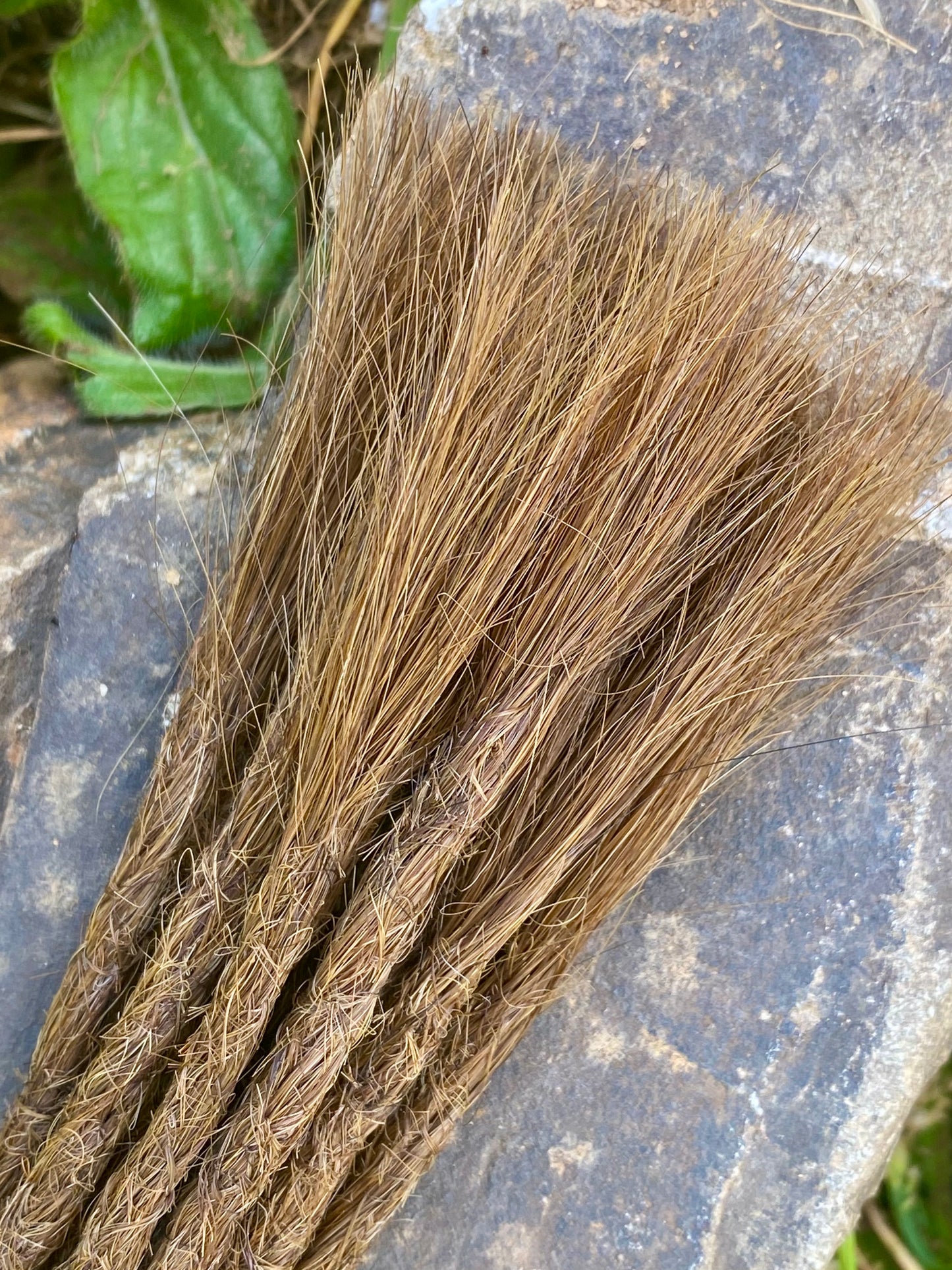 10 European Human Hair Dreadlocks in Dark Blond Golden Brown #6.37