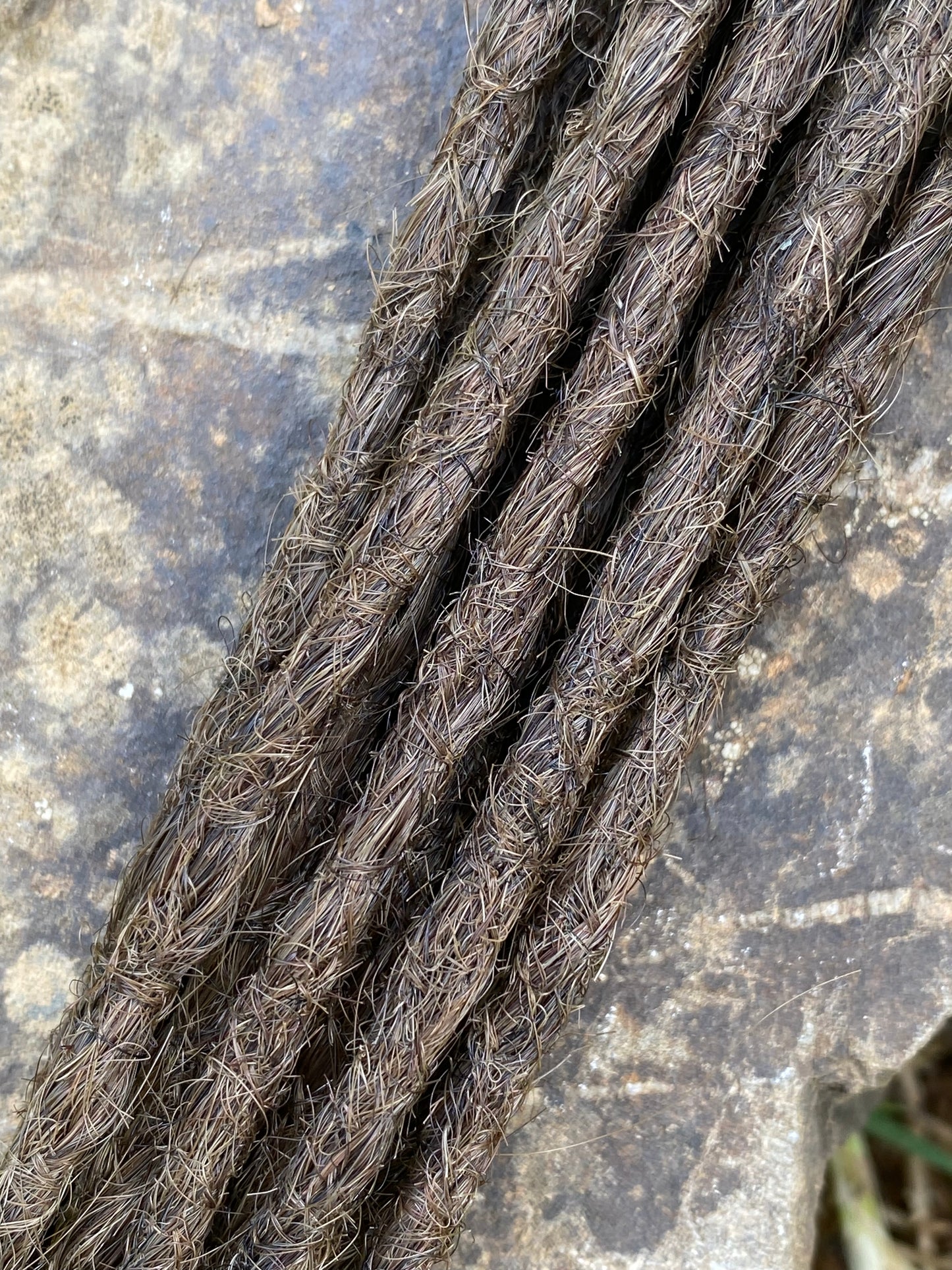 10 European Human Hair Dreadlocks in Dark Blond Mat  #6.2